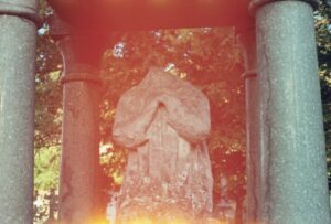This is a collection of images I took on my 35mm film camera in September 2019. The sun was landing just right in Southampton Old Cemetery. This is still one of my favourite spots to walk through.